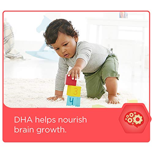 Enfagrow Premium Omega 3 DHA Prebiotics Non-GMO (Formerly Toddler Next Step) Toddler Nutritional Milk Drink, Natural Milk Flavor Powder 32 oz. can (Includes 6 cans) From the Makers of Enfamil